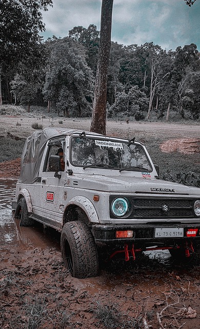 據行山老手 據行山老手