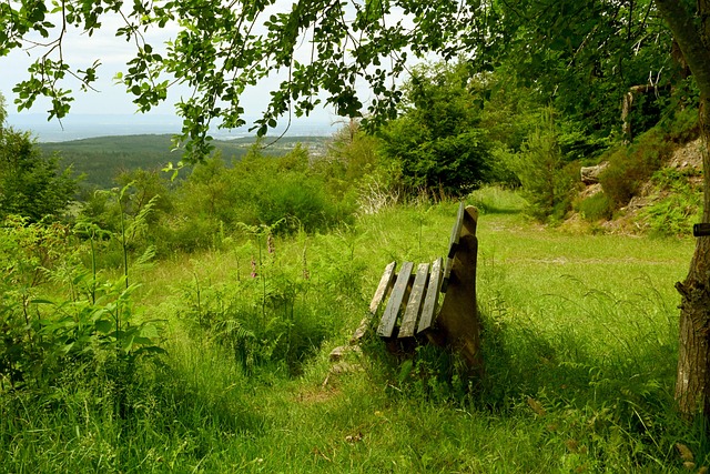 廣西門將周煒翔因消極比賽被足協停賽4場並罰款2萬元.