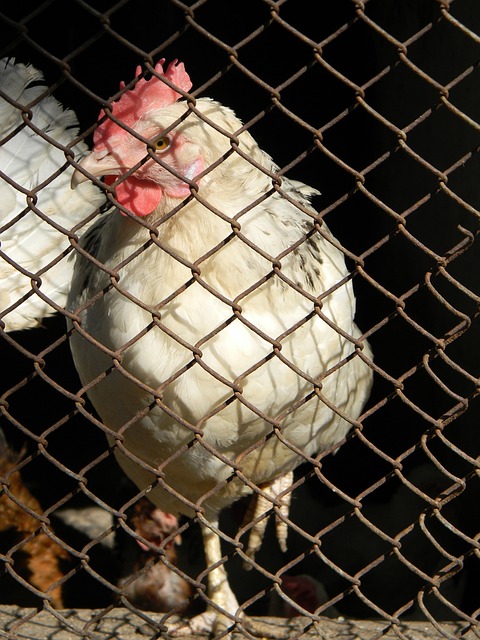 情与追求完 情与追求完