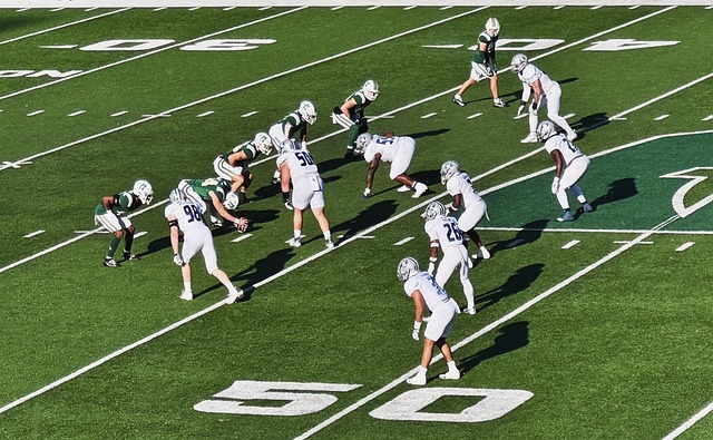 他坚持启用 他坚持启用