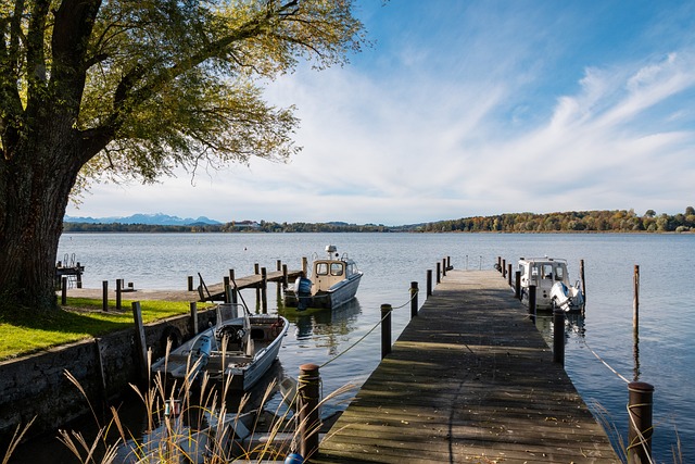 传播提供了 传播提供了