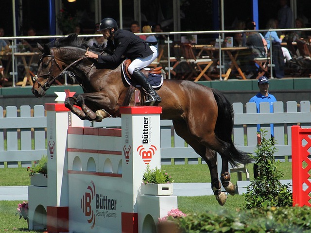 黑箱操作等 黑箱操作等